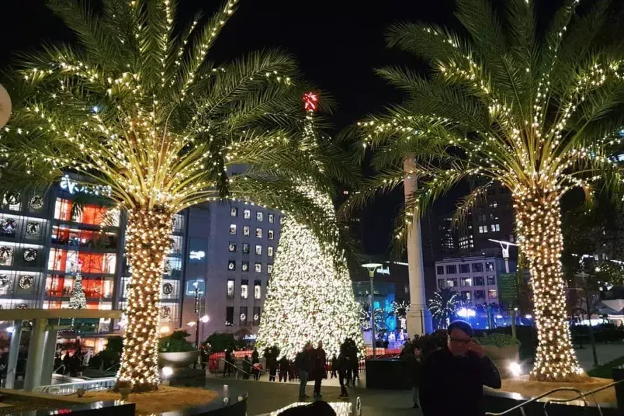 arboles-de-navidad-de-union-square