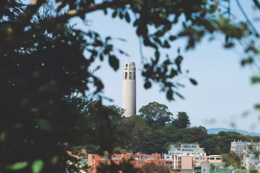 San Francisco's 又帮, framed by trees in the foreground.