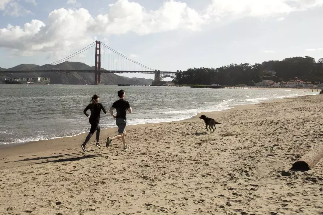 Couple avec un chien courant sur Crissy Field